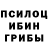Псилоцибиновые грибы Psilocybe Janis Pugovics