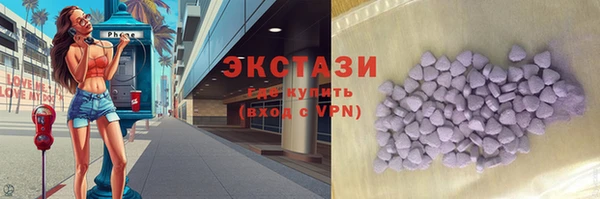 тгк Инсар