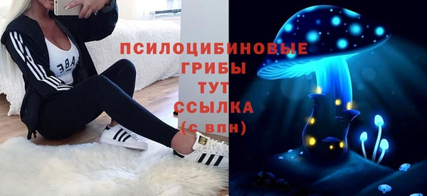 тгк Инсар
