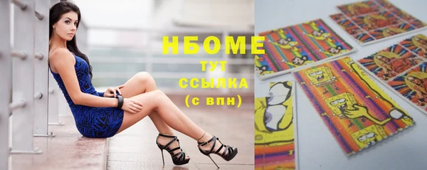 тгк Инсар