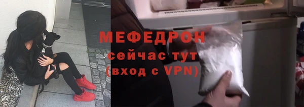 тгк Инсар