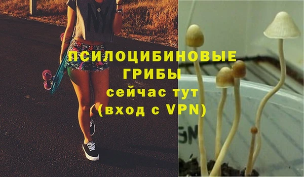альфа пвп Инта