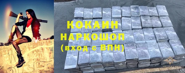 тгк Инсар