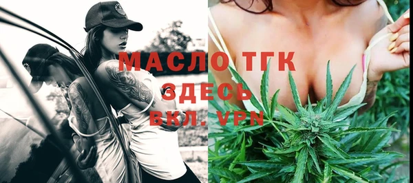 тгк Инсар