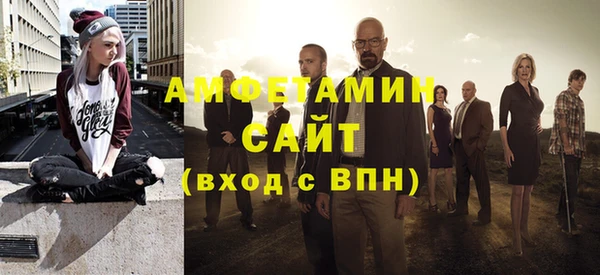 тгк Инсар