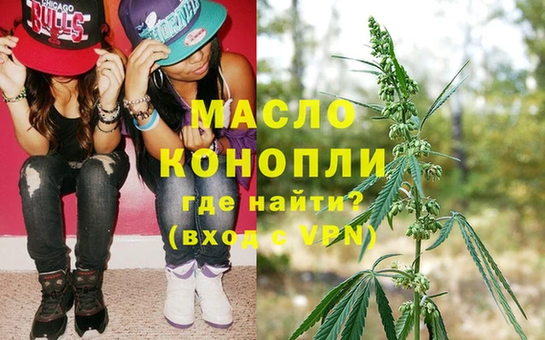 тгк Инсар